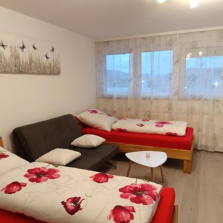 Apartment Lahr 50 ภายนอก รูปภาพ