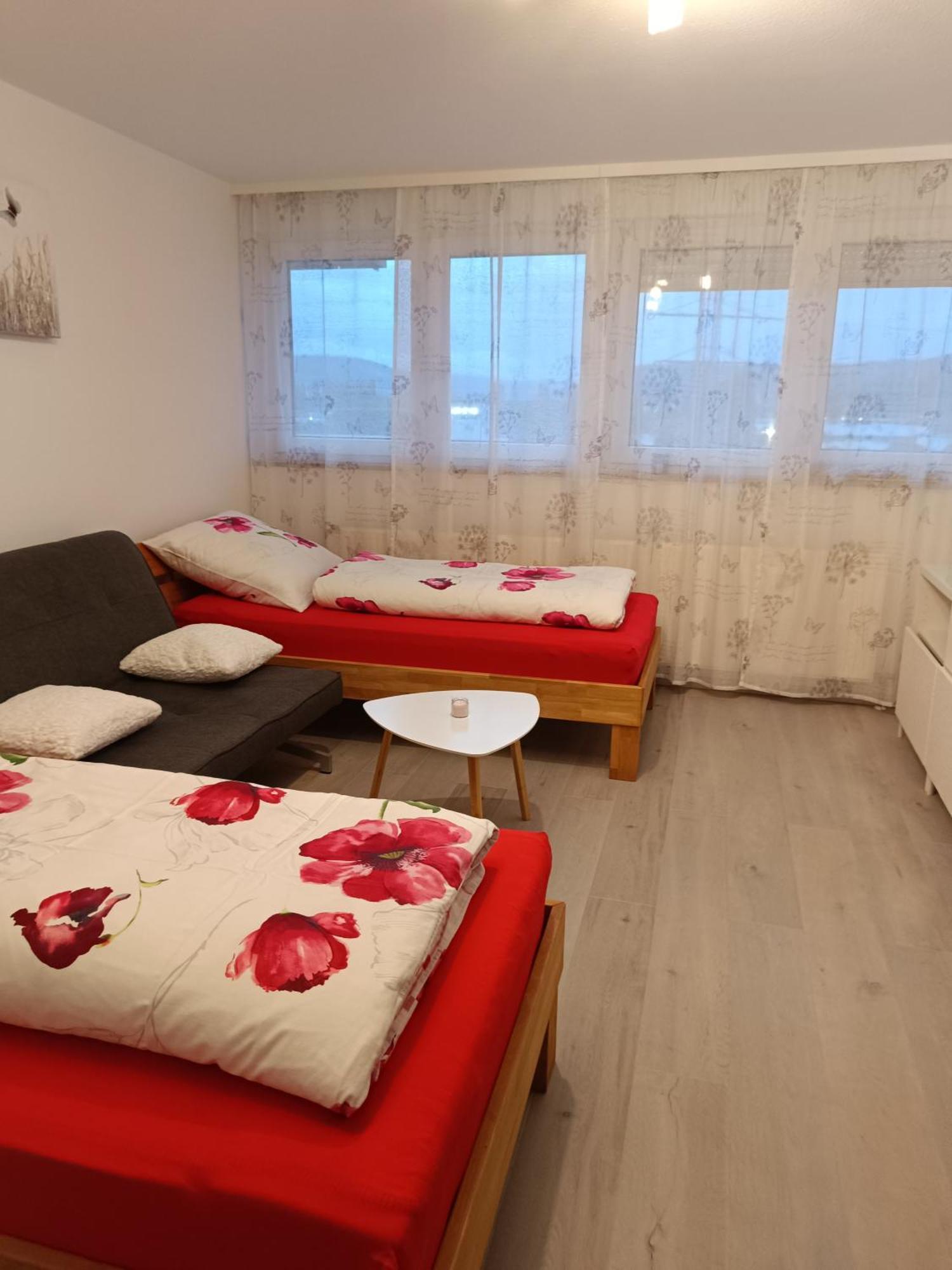 Apartment Lahr 50 ภายนอก รูปภาพ