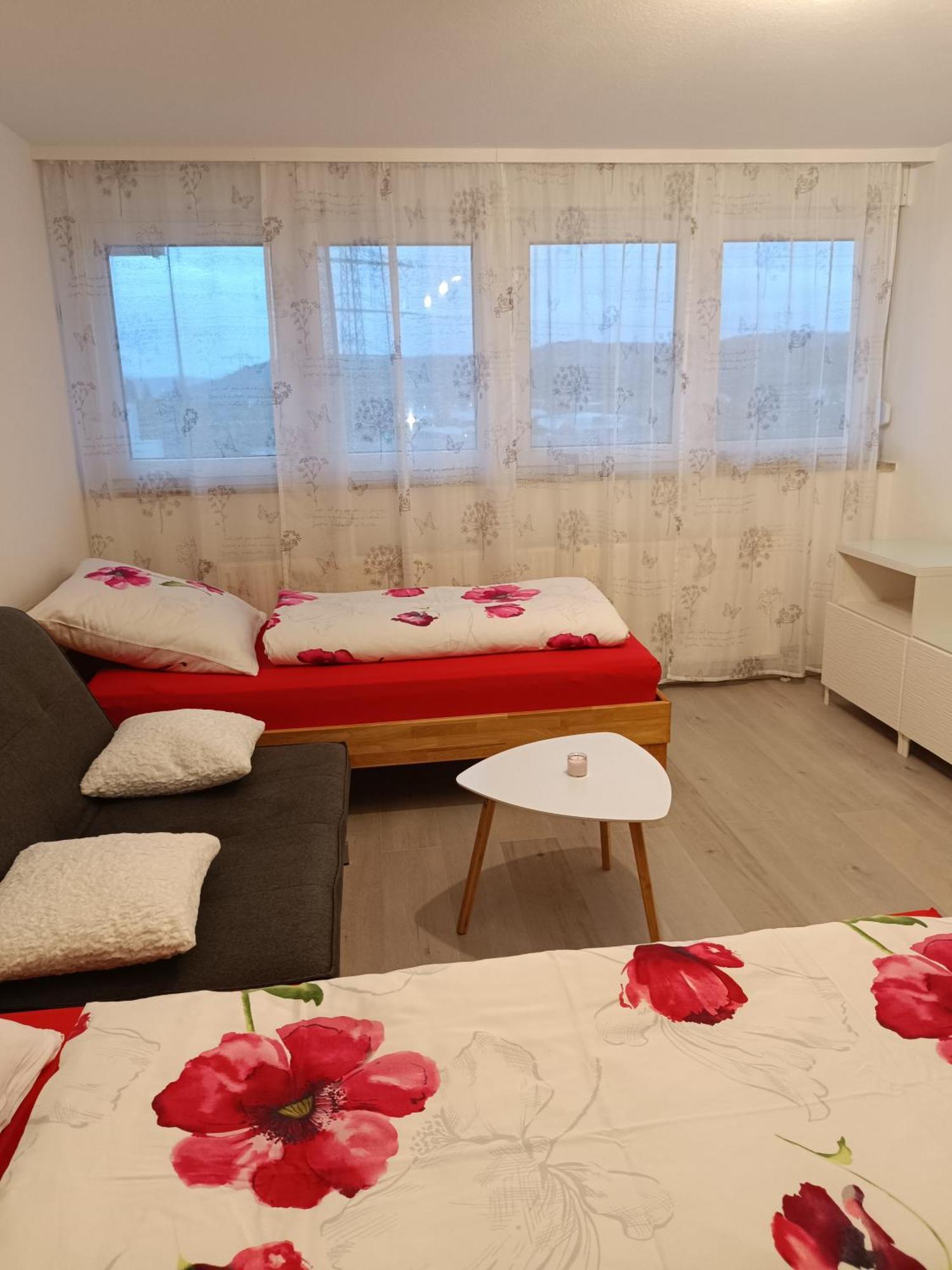 Apartment Lahr 50 ภายนอก รูปภาพ